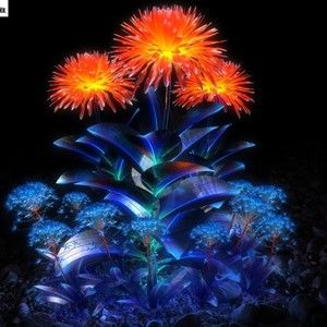 Meet your Posher, Tamara